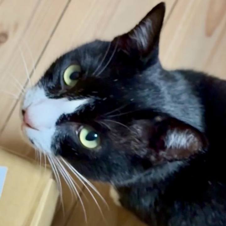 Fa204eb7 e897 40fa 8ed5 ffa7621025e4 1759837203487