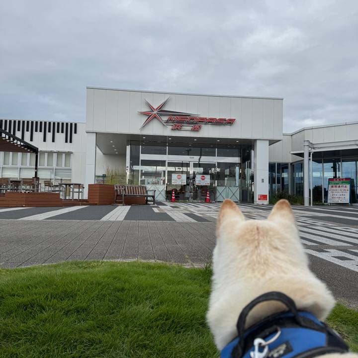 Fa205616 e08e 41aa 84d2 804cb7800f9b 1758754559030