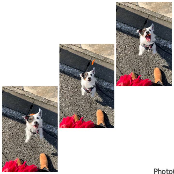 Fa207bad 85ca 4d78 92b2 56b4941ac976 1707267673448