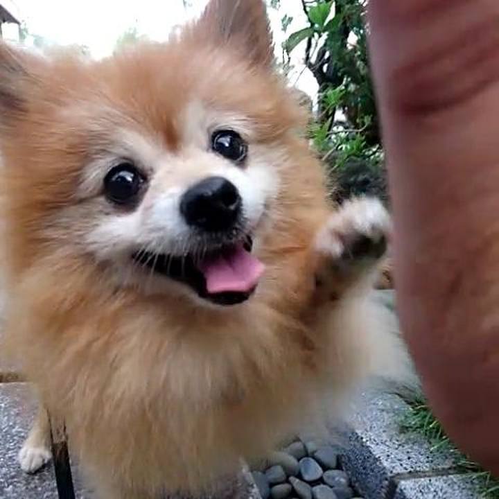 Fa20ae4c 9c24 41ac ab29 9d7c464be313 1536015159990