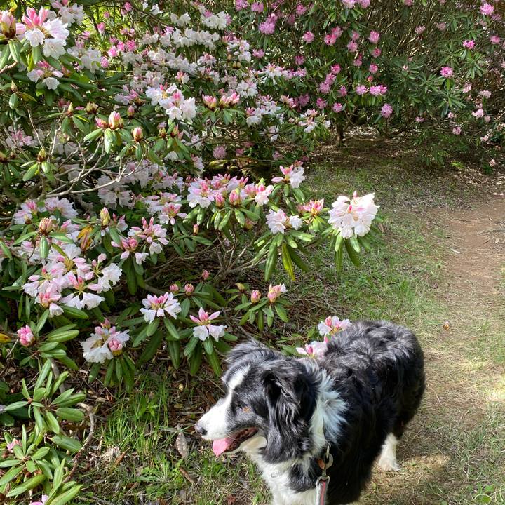 Fa20b158 a137 42c0 948c 2964fc8d7573 1681720087440