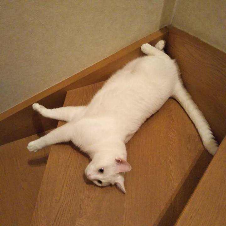 Fa20ce07 14c5 4301 8557 6675bc1ed698 1531309943353