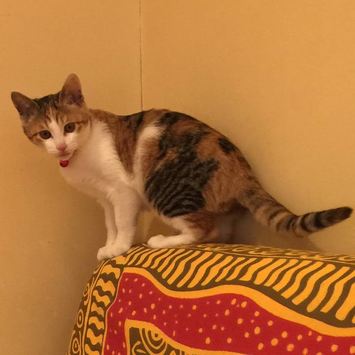 Fa20d285 e0f1 475b a5f2 9d1b77681748 1579659828333