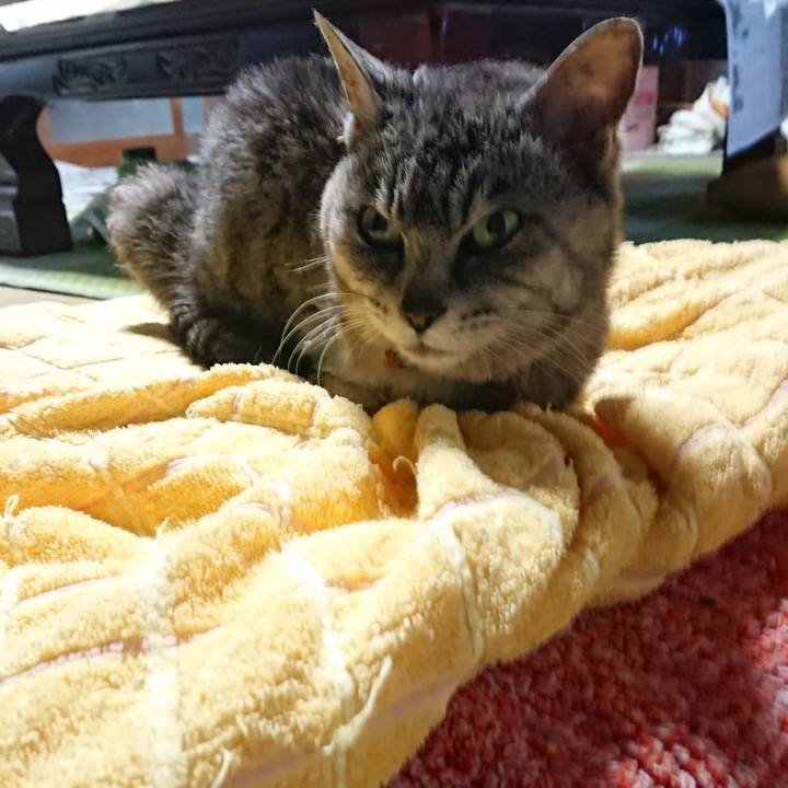 Fa20d4ca 31df 4290 994a 058999c18311 1594717832100