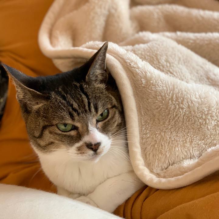 Fa20e904 f7f5 45ad 8bdb 0ba0025de3c2 1604194166147