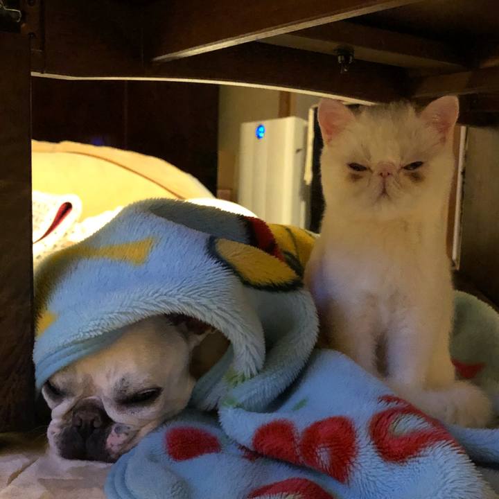 Fa211763 28d2 43a4 9ec1 71b3052bb065 1549801925687