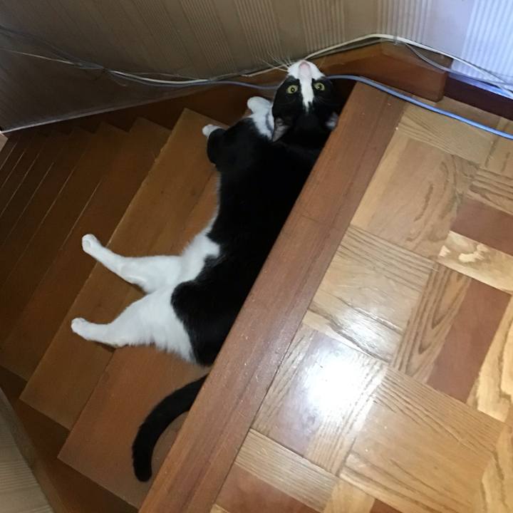 Fa2191d4 c964 4ea5 8389 7088dec09fc0 1667812589459