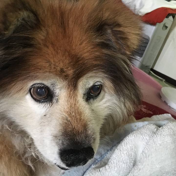 Fa21a4f0 cd38 4766 b493 66d05ef39b0b 1578289830183