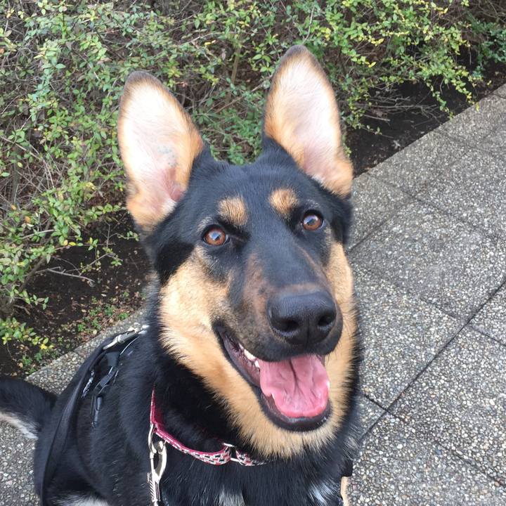 Fa22273e 21ad 4563 b6f5 781573aeaec5 1520058366412