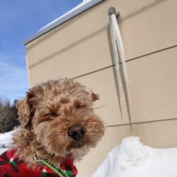 Fa2239e9 7741 4e30 b007 f433bc35d0d9 1582959470700