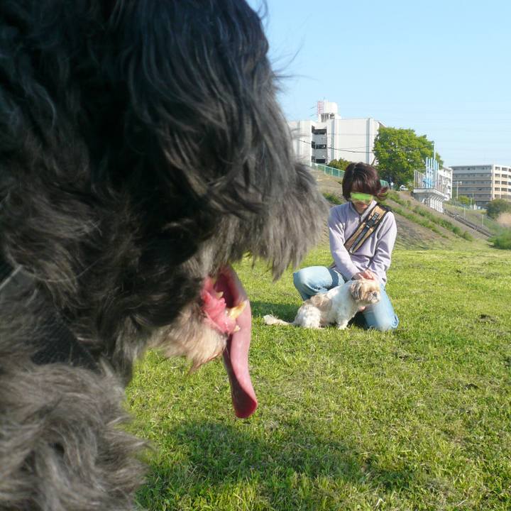 Fa2258c0 ff4a 423b ad5d 9d49ebc01f0a 1626587615030