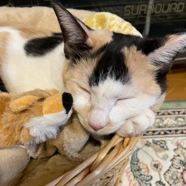 Fa225918 24b1 4714 8672 0bd1fd87aca6 1673601899208