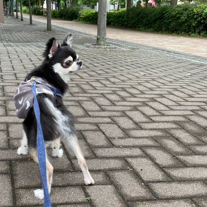 Fa22638f 6a16 4b33 8301 3217db8364d0 1683992404504