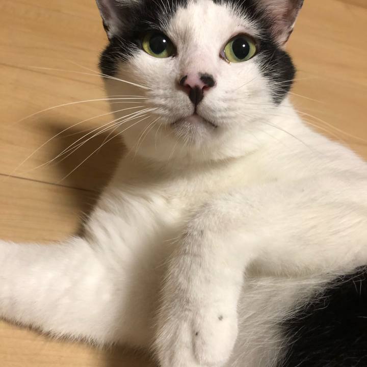 Fa226d04 cc76 42c3 87ff 2a82ceb55746 1566224462023