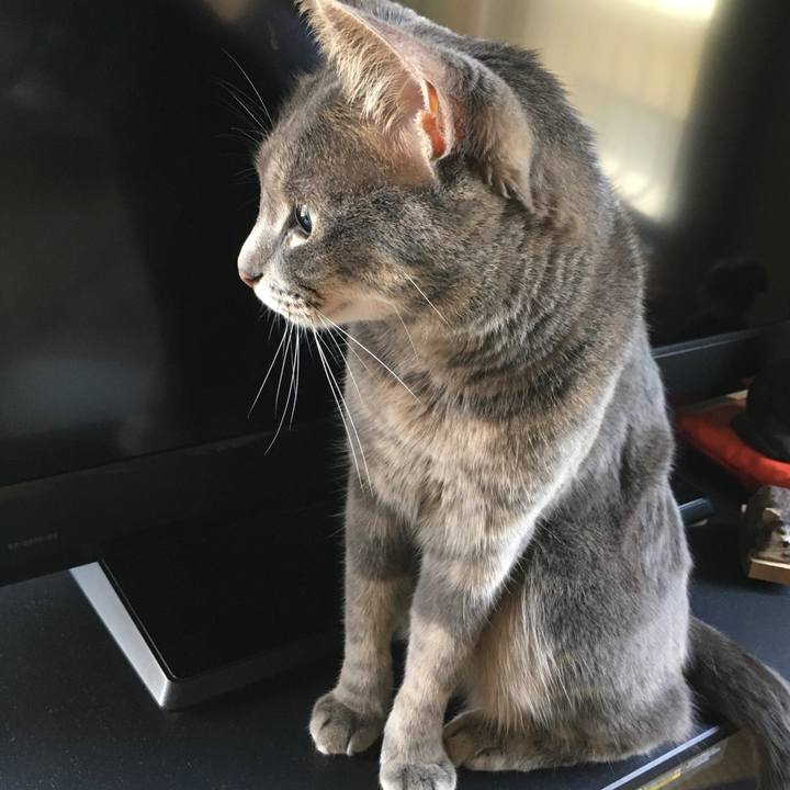 Fa227de3 6ff5 40d9 8413 deb955af137a 1592615107506