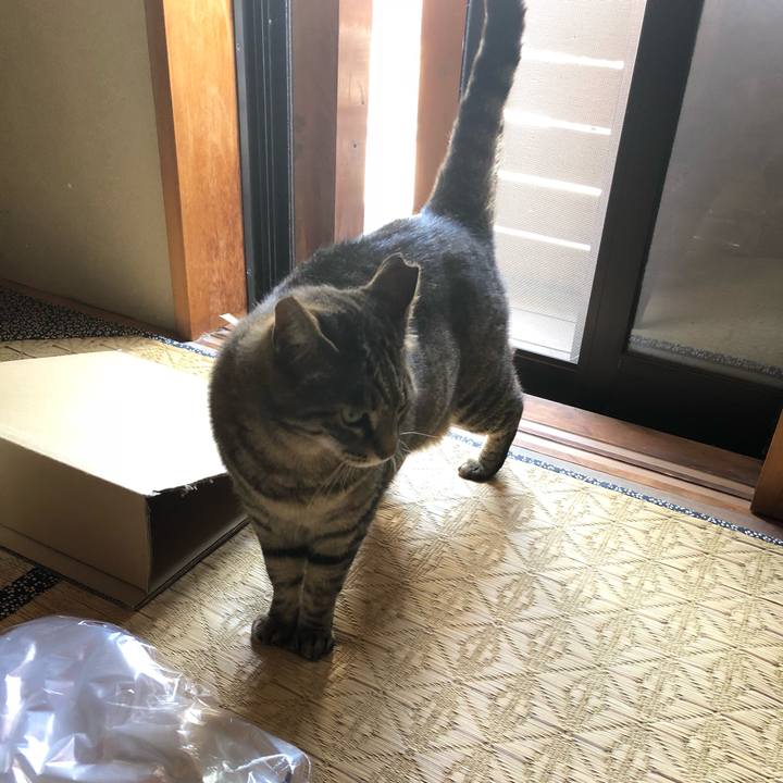 Fa2286ee 6884 44d3 922f a0465e46b070 1528269190352