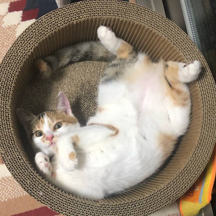 Fa229ccd 355a 4b27 bc33 d4577f857ead 1569250468917