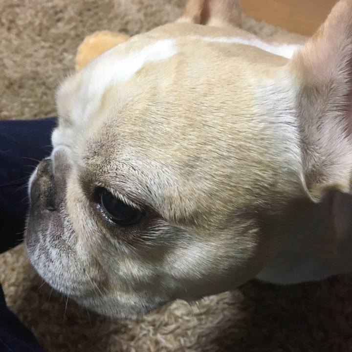 Fa229d63 34ea 4618 b5f0 90c8be4f9026 1512309533560