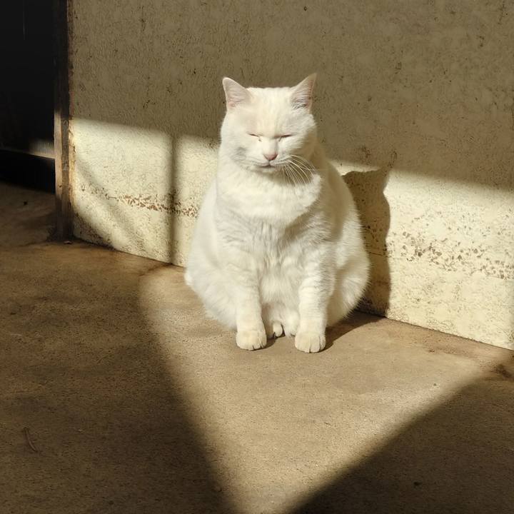 Fa22ab36 55c1 4a83 ad17 9d7477d041b4 1764926493065