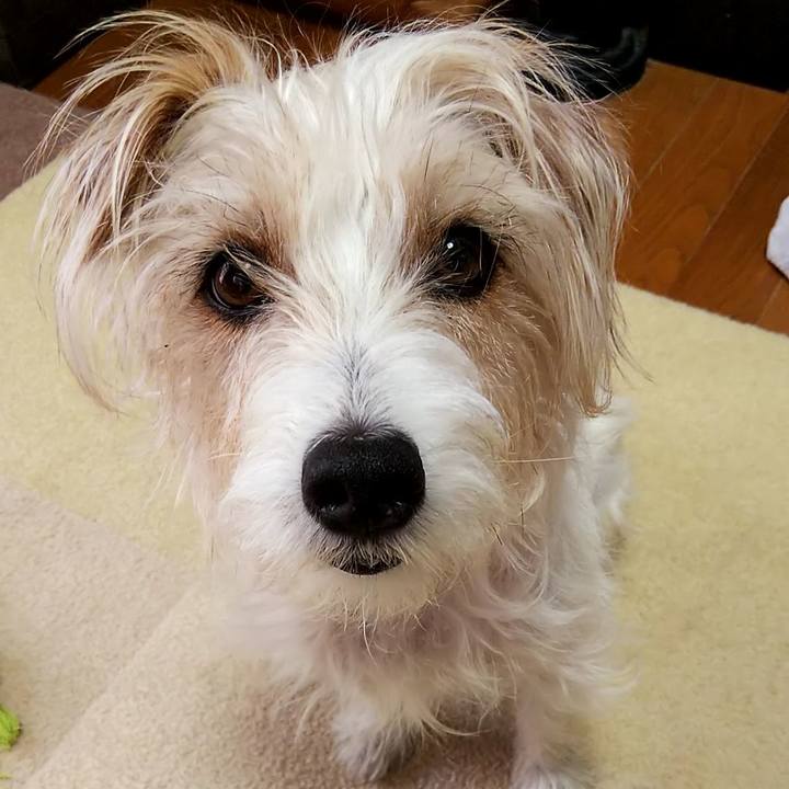 Fa22ad50 5555 4c5f b20f 750d0ac597d9 1558874147271