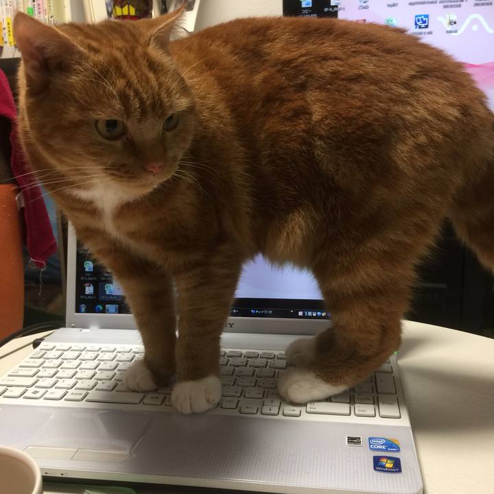 Fa22ba96 9adf 44c4 a8a0 e9cbc463ce09 1602333004122