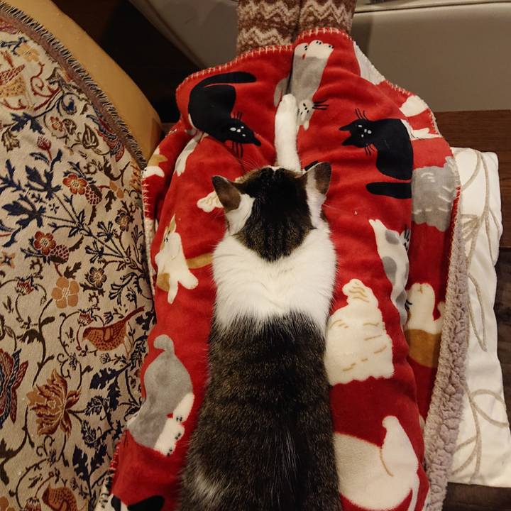 Fa22badf ce66 4b58 8e92 e690434c142c 1677587467745