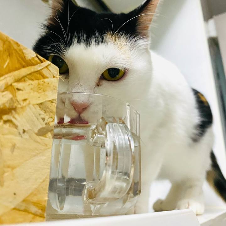 Fa2312a2 4e03 4d6e 9ba9 d58164f56124 1677535605623