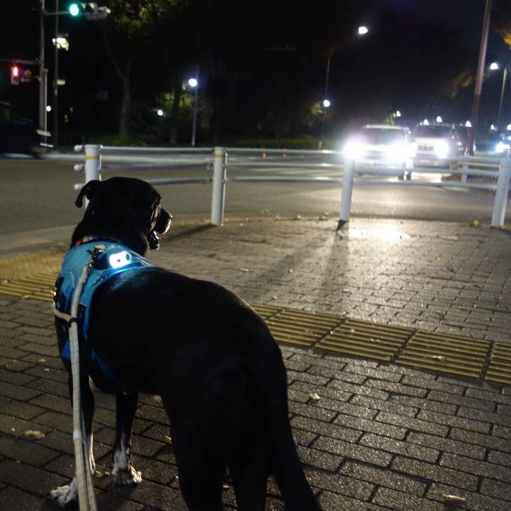 Fa2328b0 5215 409d 9761 38b2f6080eb5 1637060104333