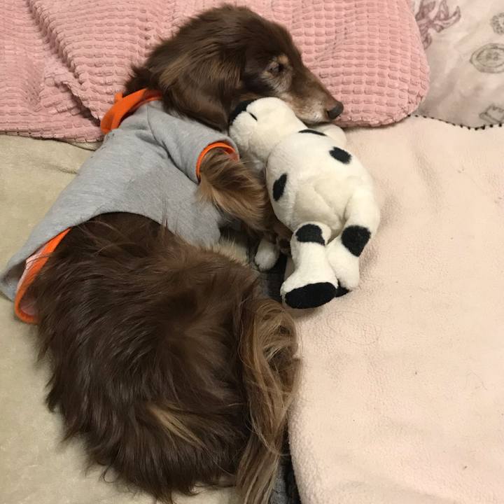 Fa2336a5 c41f 477e b88e e8422b139dc1 1585394616217