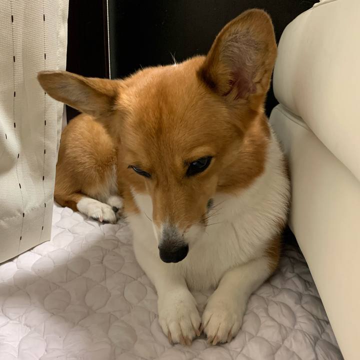 Fa235e35 372a 4eda a3d2 79b3d47176c2 1572181357042