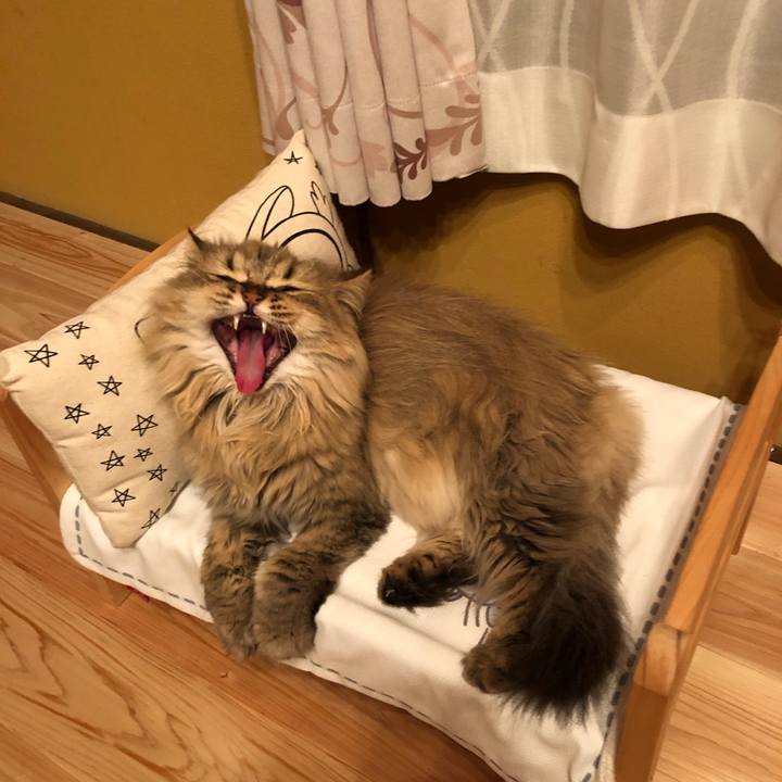 Fa236acd 8ca4 4fea bec2 d068d981006e 1597576437109