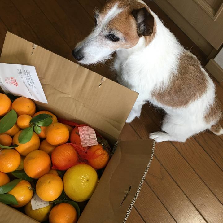 Fa239419 8291 499f a0fa 852f1cac8b15 1620172348093