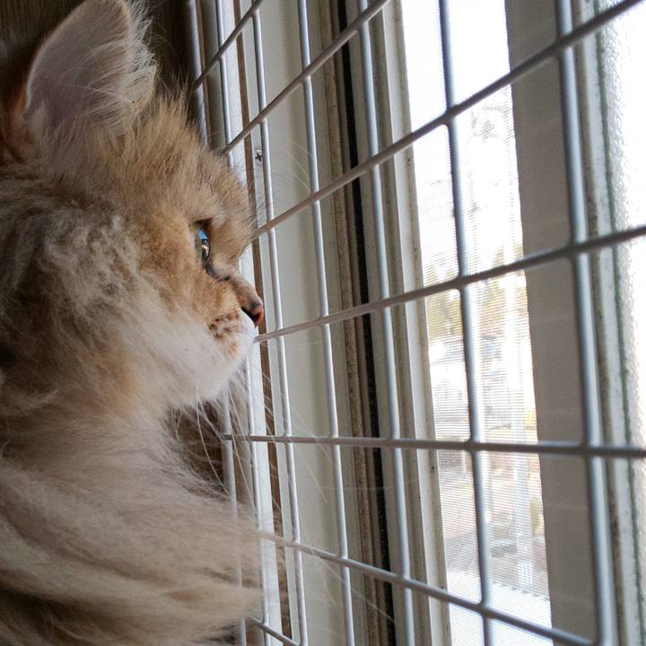 Fa23f48e 17f5 47f7 be5a 0fb4209be877 1616746510657