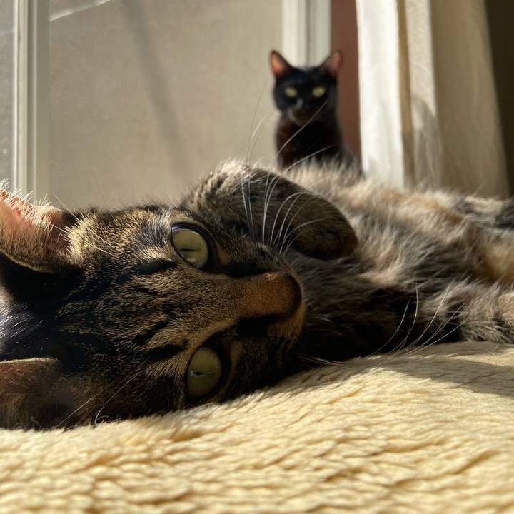 Fa243402 9866 4d73 a8b0 194cd9cd04d3 1667483020208