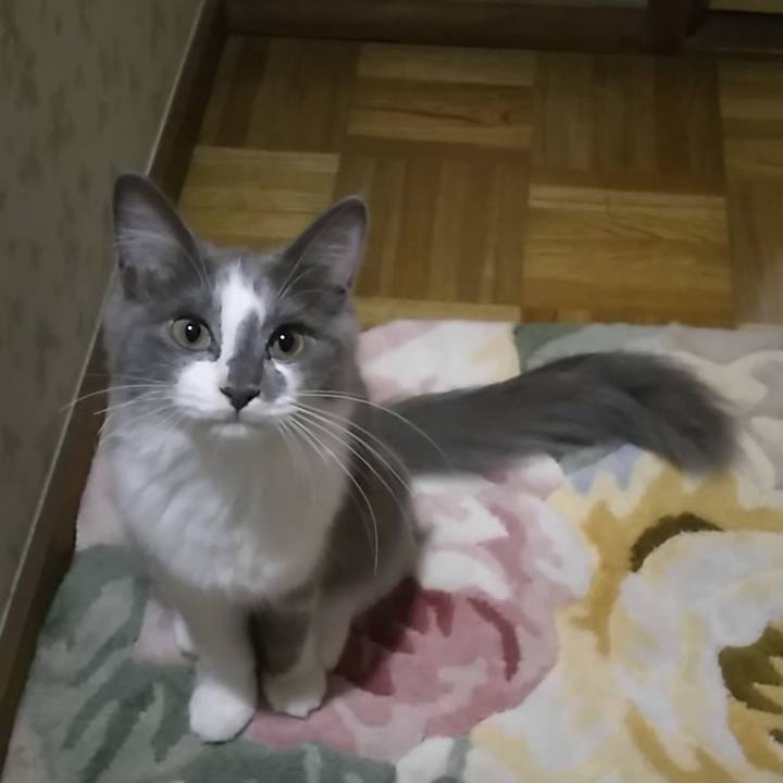 Fa247431 e79e 4d0a bc6f b4e3197474d1 1568022179123