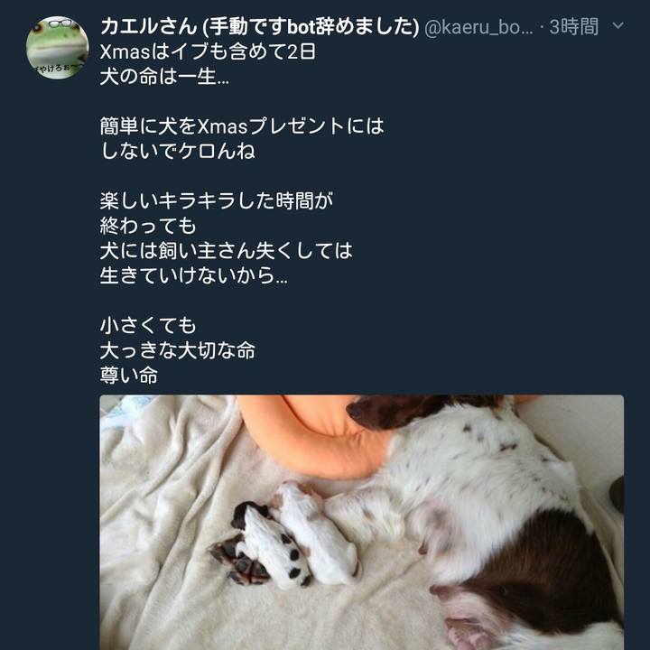 Fa24777f 231a 4f5c b3a7 61d4afba9854 1513002932189