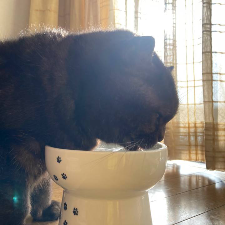 Fa2479b7 8c29 404d 83ab d08e0411eae9 1641956756241