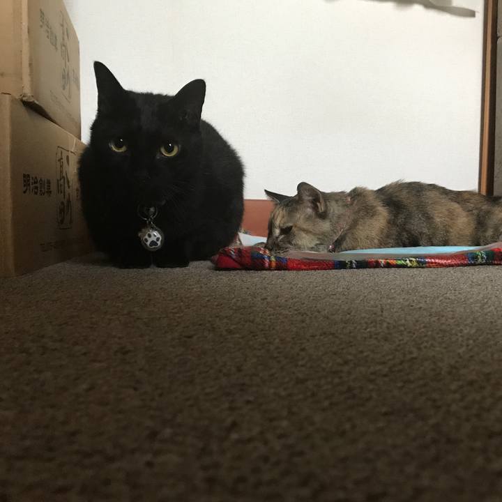 Fa24846a afd6 4157 83c7 45594b27205b 1519302163059