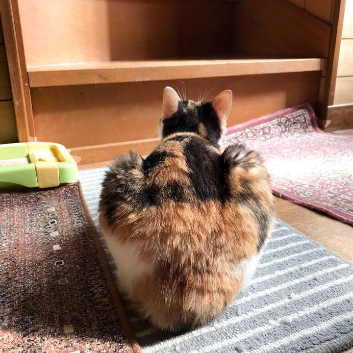 Fa24ace5 d478 431b a421 518138f8eaaa 1528121964258