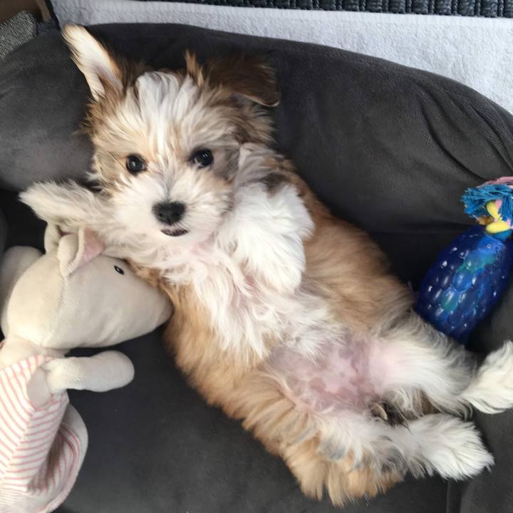 Fa24dea9 fa8d 4972 b492 f536ba285e58 1758714233986