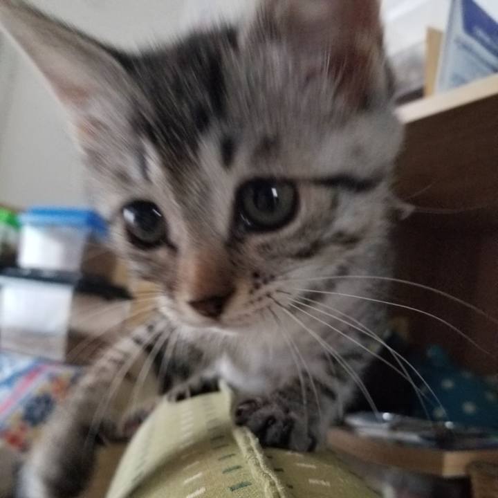 Fa24ef60 929b 45b6 97b0 8a6af391a7f2 1663329251048