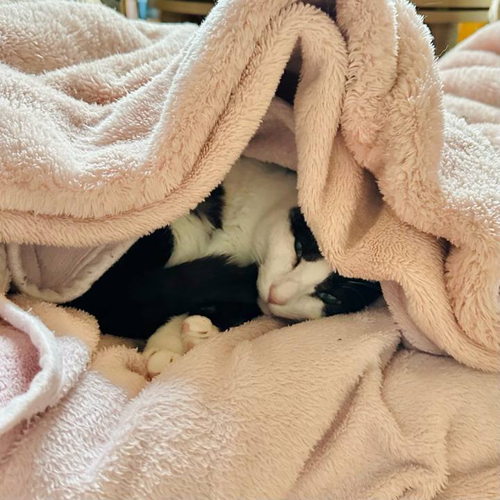 Fa24f406 7b29 463d 8fce 559f8afb0b5e 1680745452864