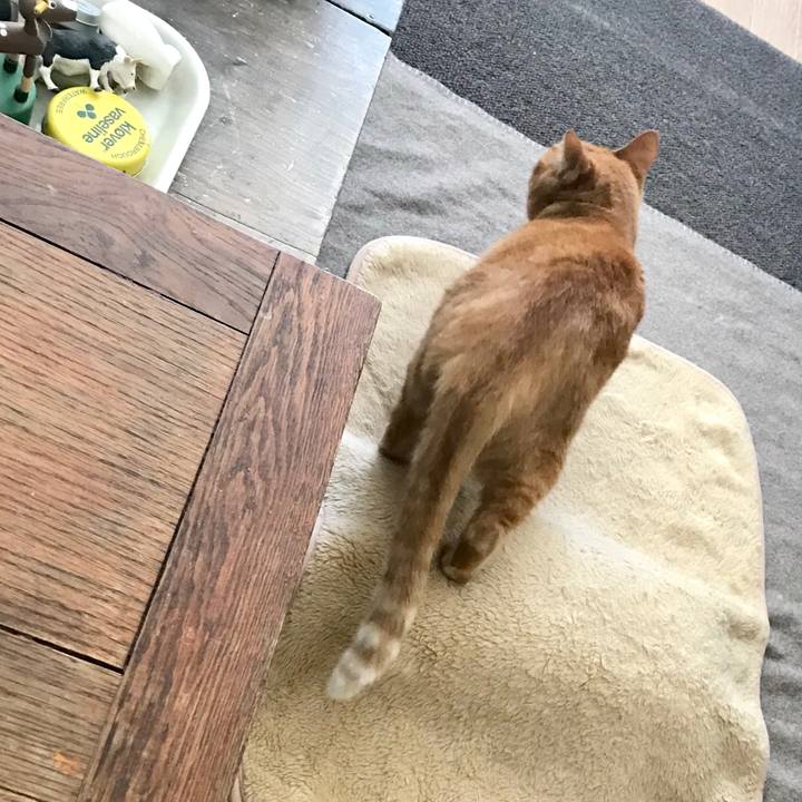 Fa250dd4 20f3 45cb a262 523ca911221c 1557281124970