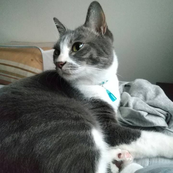 Fa251244 2d0a 4794 953f 26976358480d 1640391266871