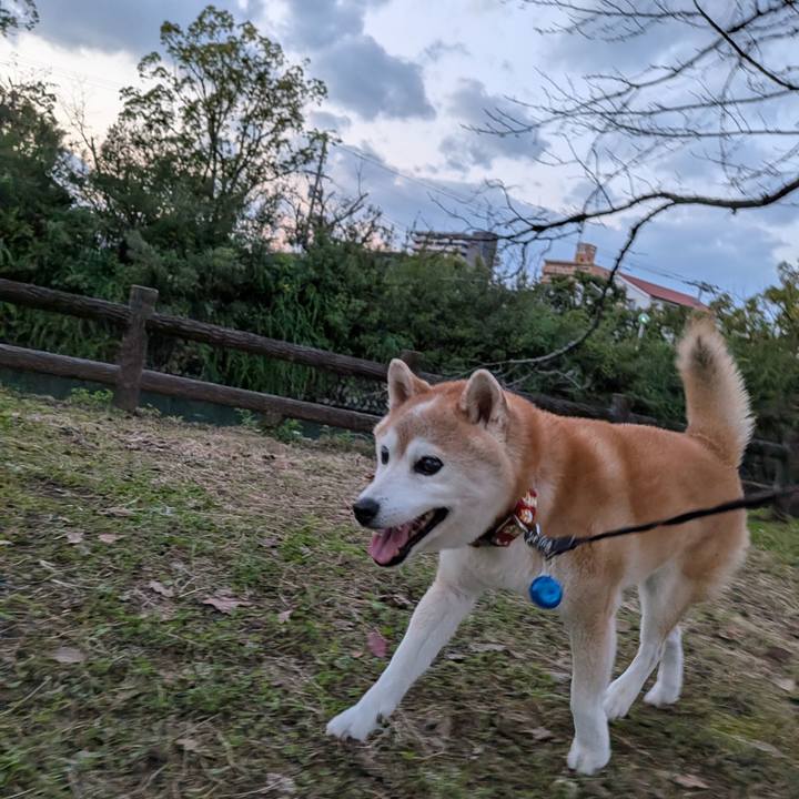 Fa251530 9db6 44d1 b10e 16f8a2f4b57c 1762163313277