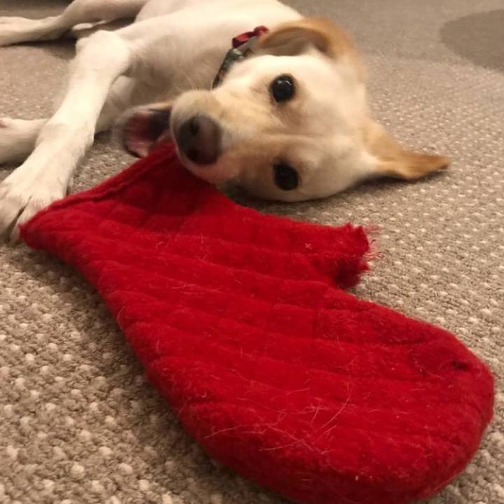 Fa251805 a709 4e1b b419 8151da77ebb8 1555227672658