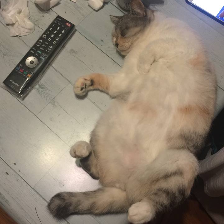 Fa251979 26d7 4392 979e 468cd4470aaa 1572353477788