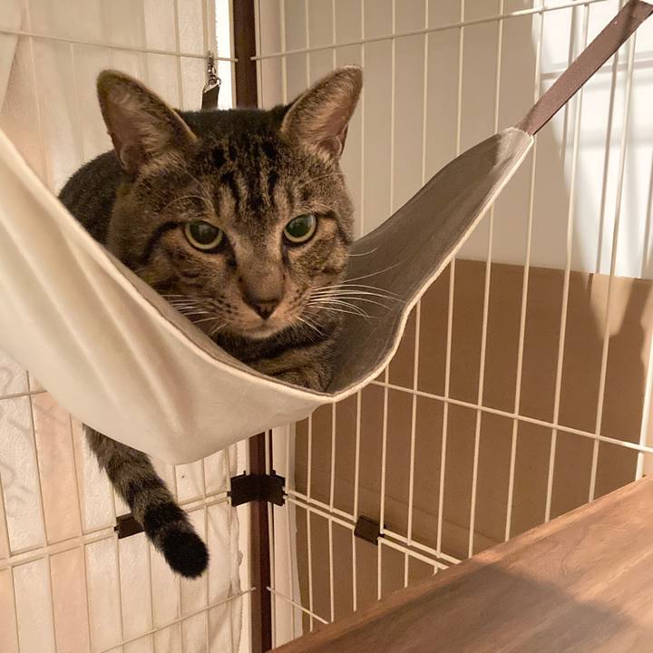 Fa255ab9 bbb1 4c91 9ba8 795c7c1efb13 1661644157811