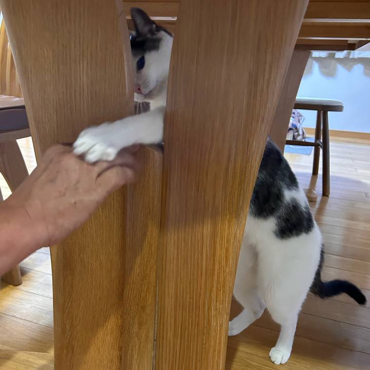 Fa25861b 75fc 49c9 84f9 f9710a1579e4 1718622514931