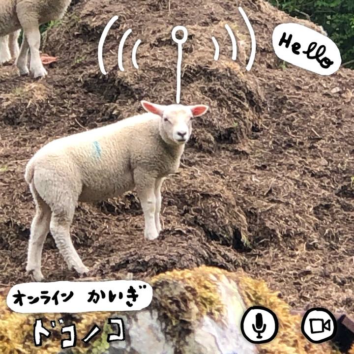 Fa259019 fa47 4633 8a47 8d7bc76533b1 1591543249277